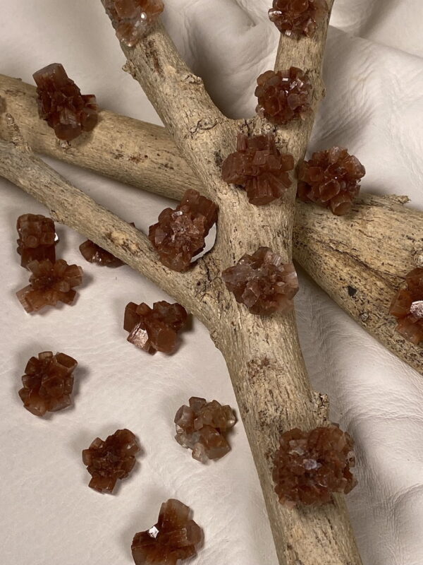 Aragonite