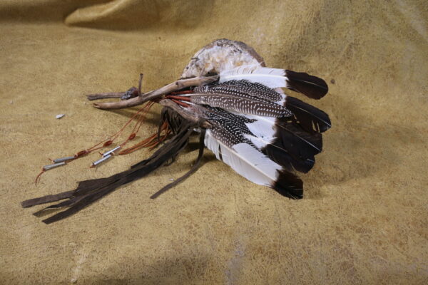 Eagles Eye - Image 2