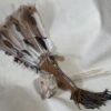 Free Spirit - Image 2